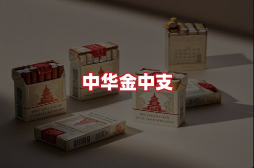 中华金中支